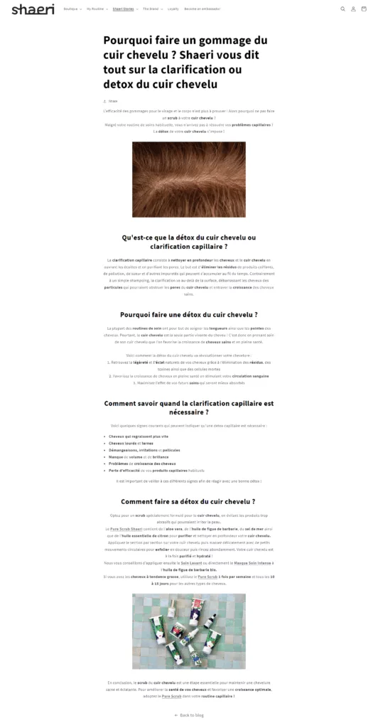 article de blog SEO soin cheveux
