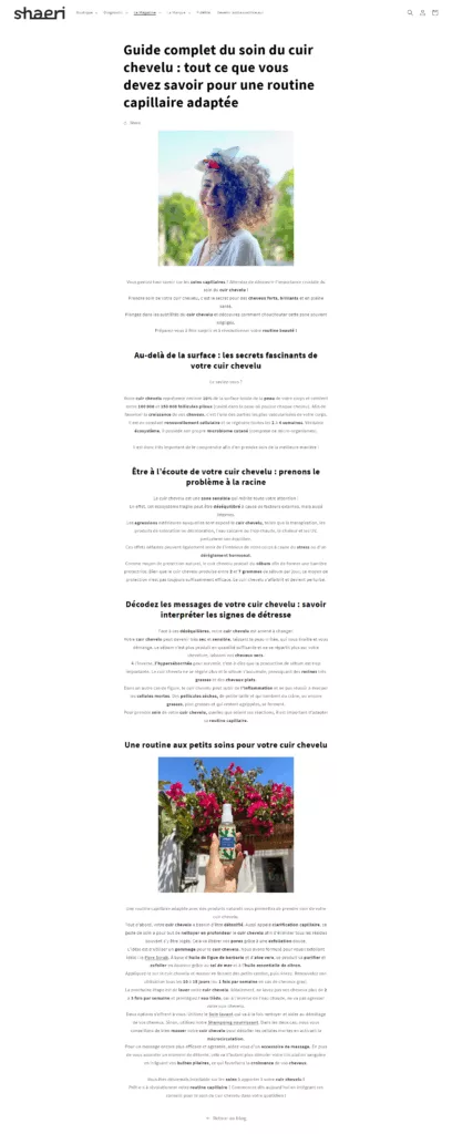 article de blog SEO produits capillaires